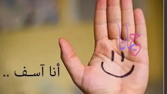 الاعتذار المثالي